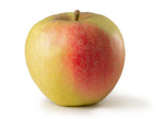 Äpfel 1kg
