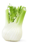 Fenchel 1 Stk (ca. 450g)