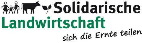 Blumen Jungpflanzen im Topf - 1 Stk