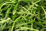 Rucola 100g